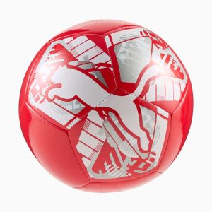 Big Cat Soccer Ball